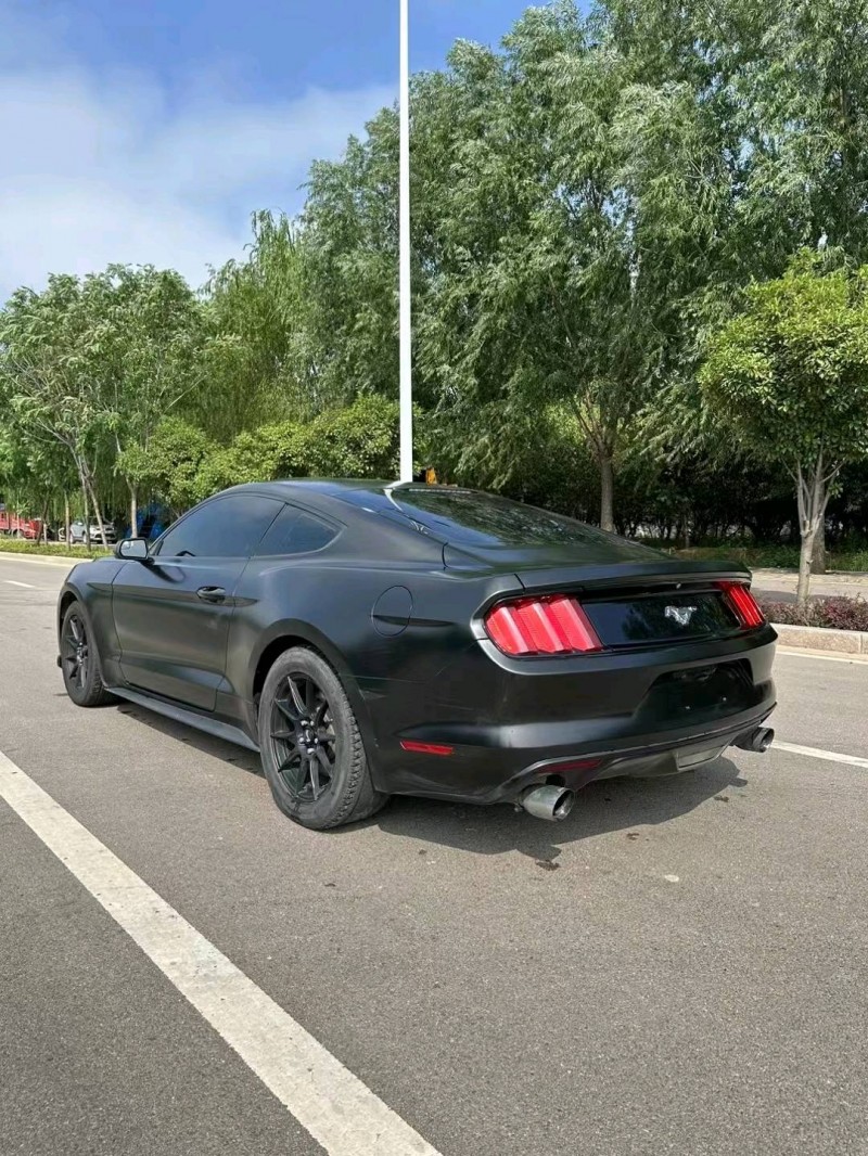 枣庄16年福特野马8