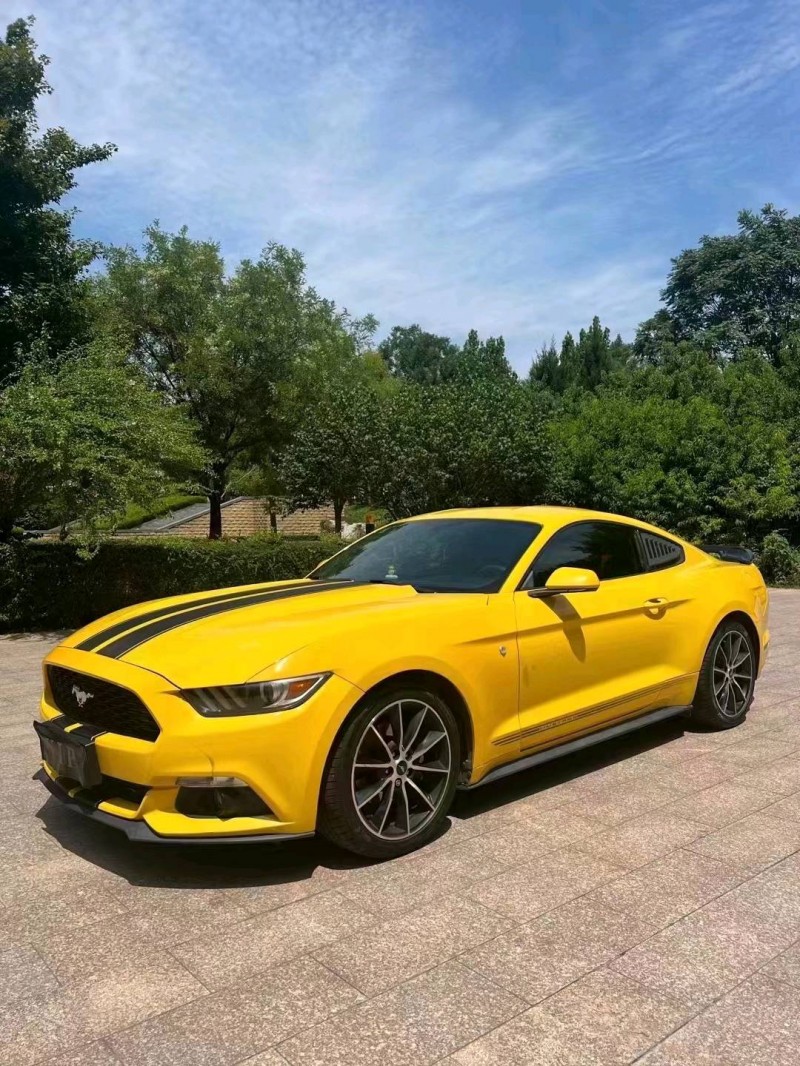 邯郸16年福特野马2