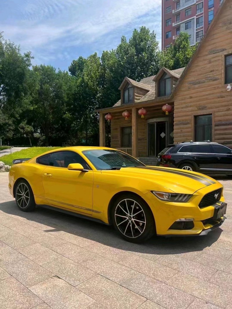 邯郸16年福特野马3