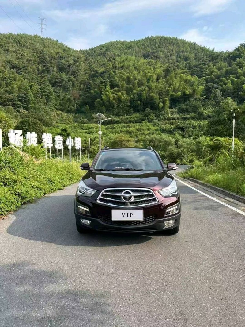 九江17年海馬S51