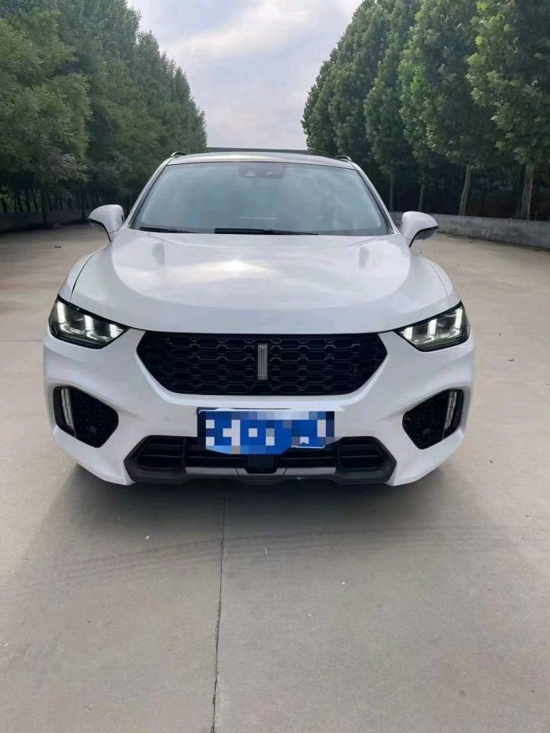 枣庄19年长城汽车WEY VV51