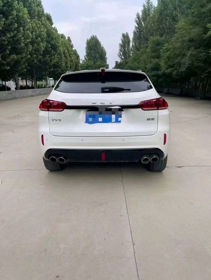枣庄19年长城汽车WEY VV53