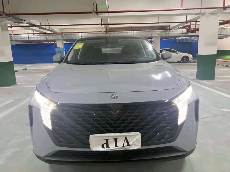 衡陽23年啟辰大V1