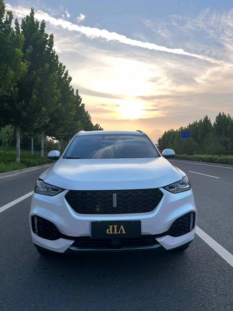 徐州19年长城汽车WEY VV61