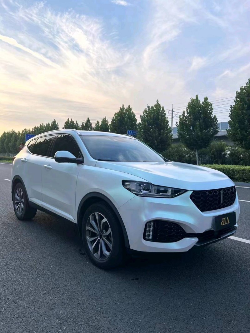 徐州19年长城汽车WEY VV63