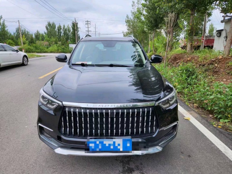棗莊19年獵豹汽車邁途1