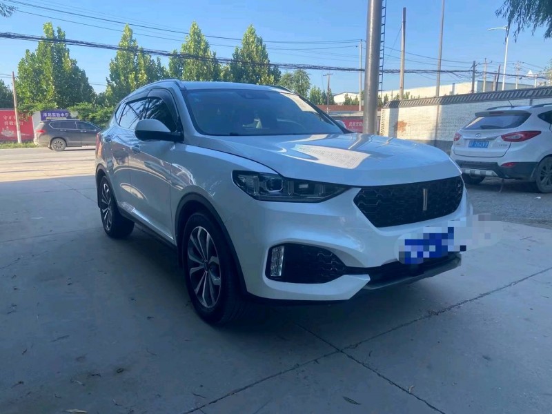 保定19年长城汽车WEY VV62