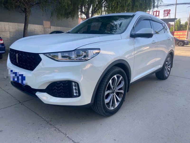 保定19年长城汽车WEY VV63