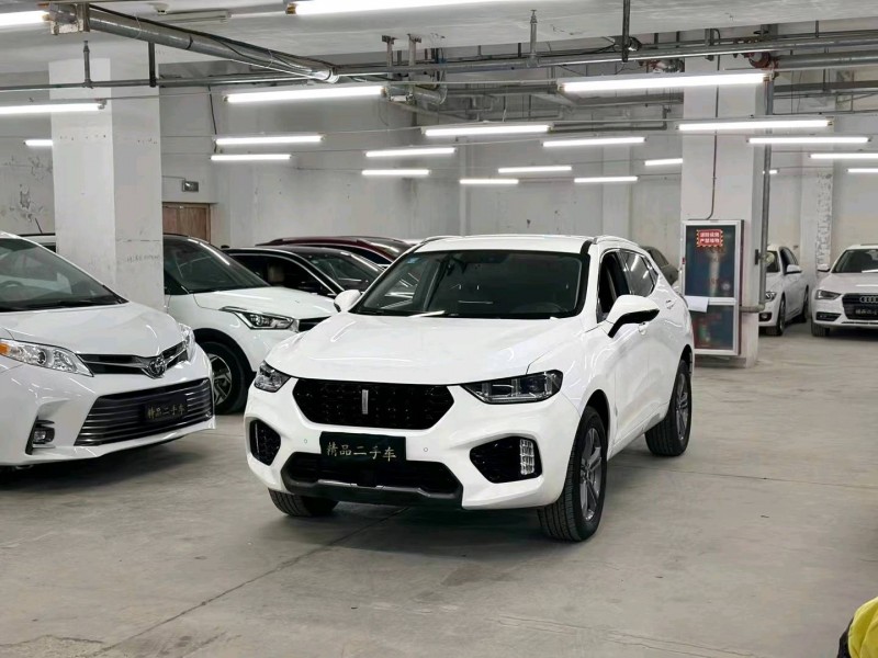 嘉兴19年长城汽车WEY VV51