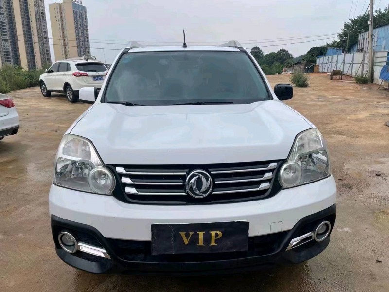 淄博17年东风风度1