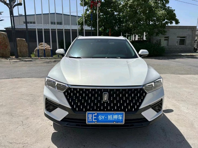 沈陽21年奔騰T771