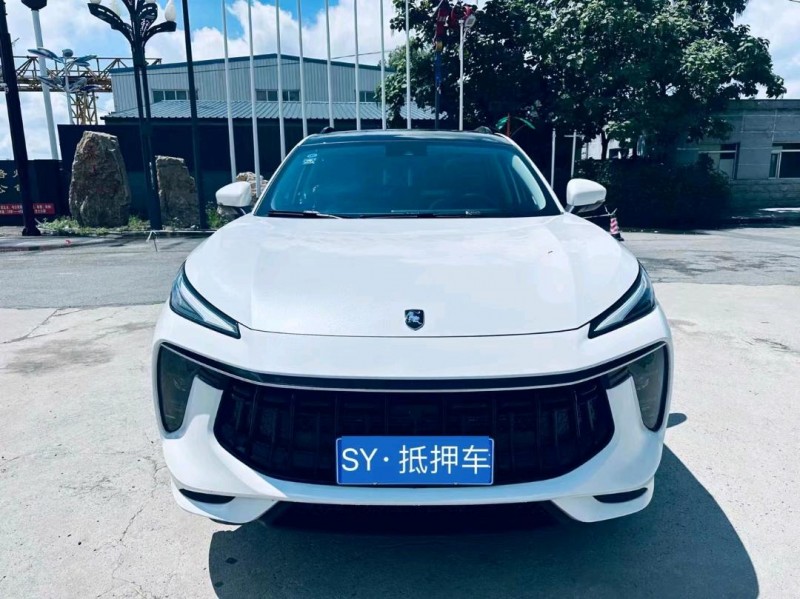 沈陽21年東風風行1