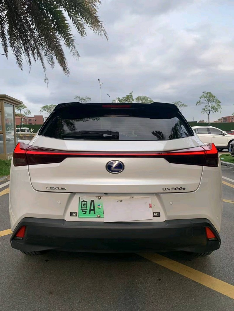 佛山21年雷克萨斯UX9