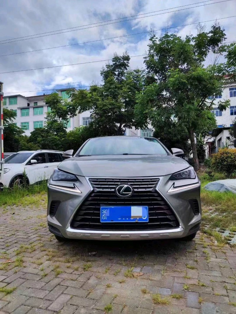枣庄19年雷克萨斯NX1