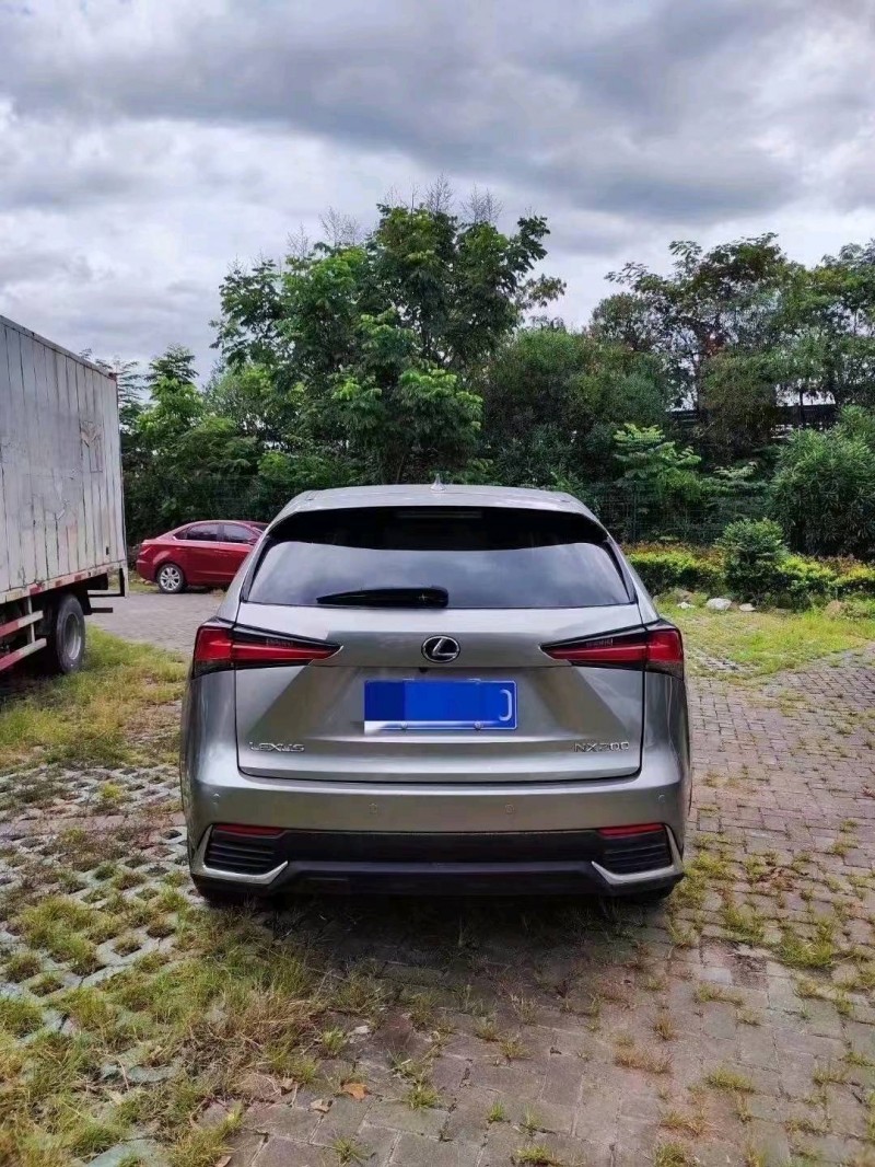 枣庄19年雷克萨斯NX4