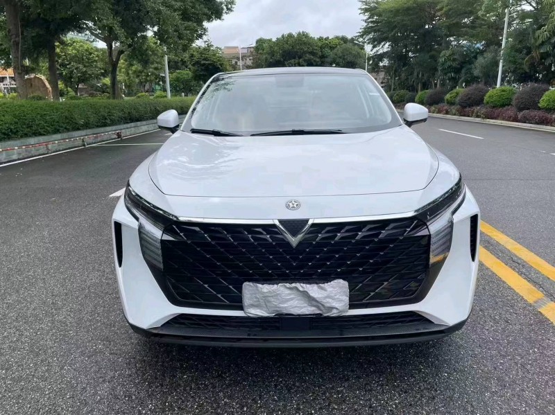 汕頭23年啟辰大V1