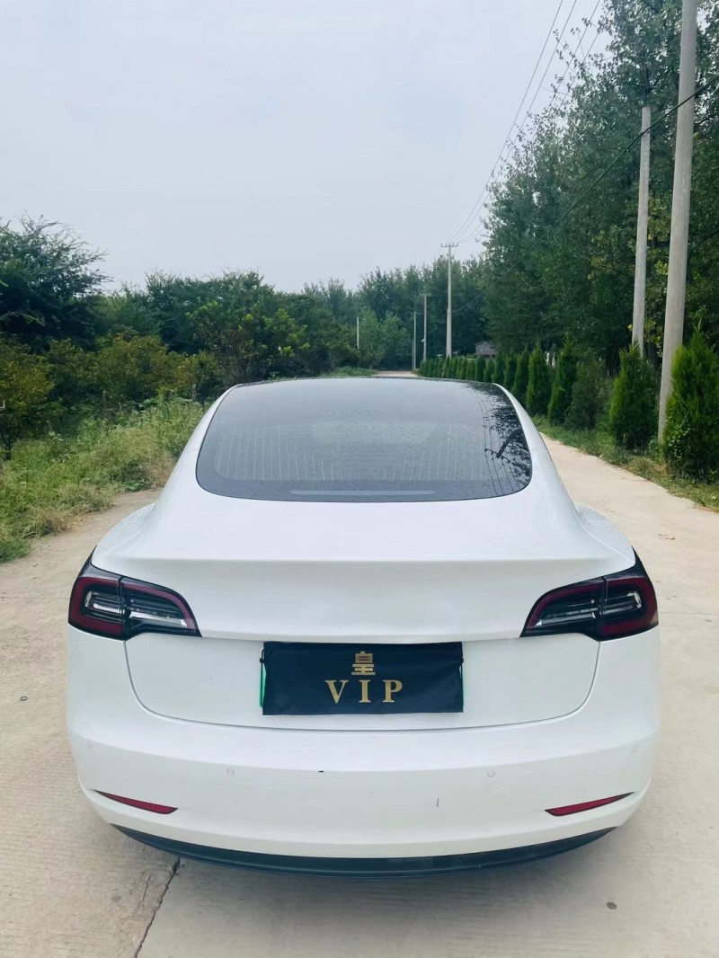 徐州20年特斯拉MODEL 39