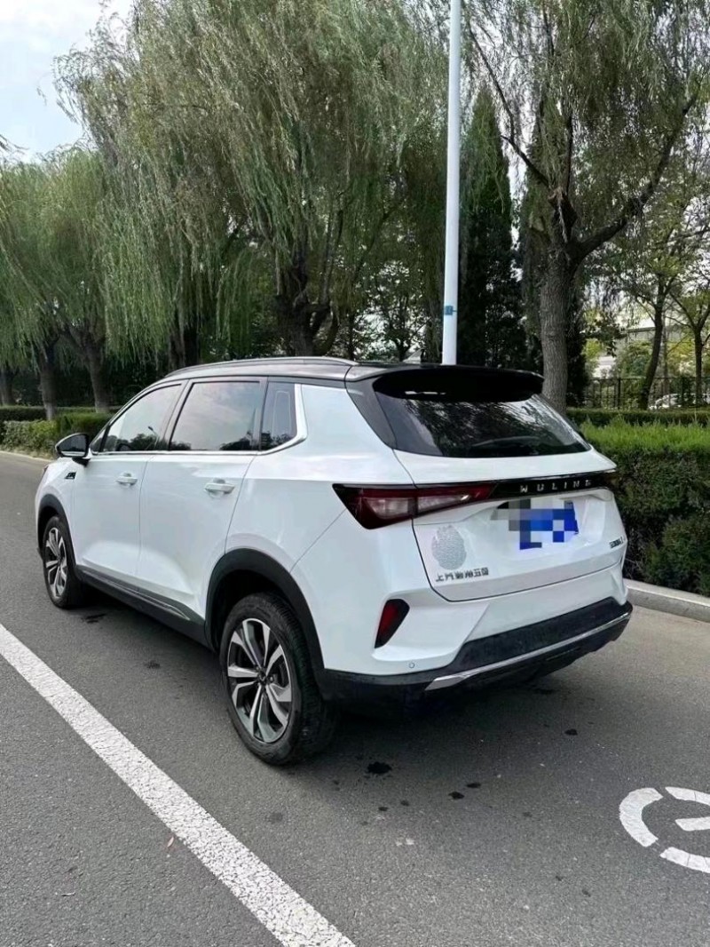 泰安22年五菱汽車星辰5