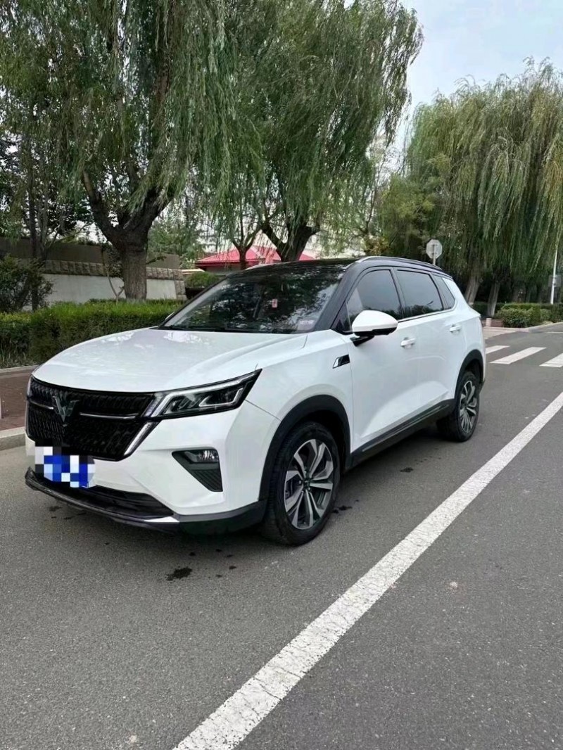 泰安22年五菱汽車星辰9