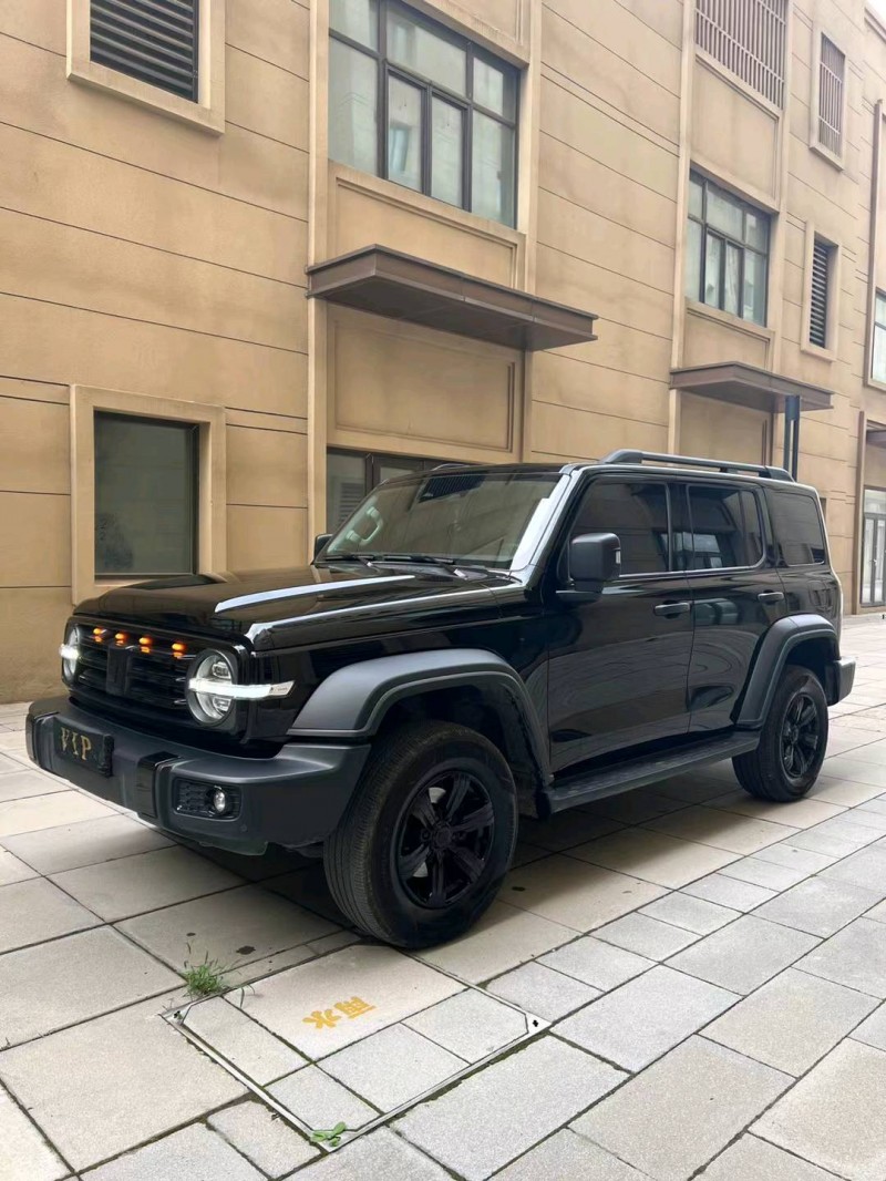 廊坊22年长城汽车坦克3003