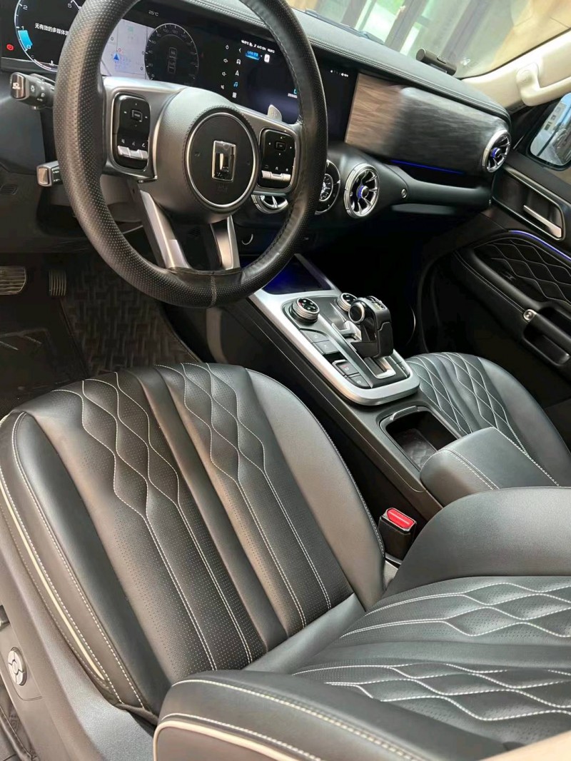 廊坊22年长城汽车坦克3006