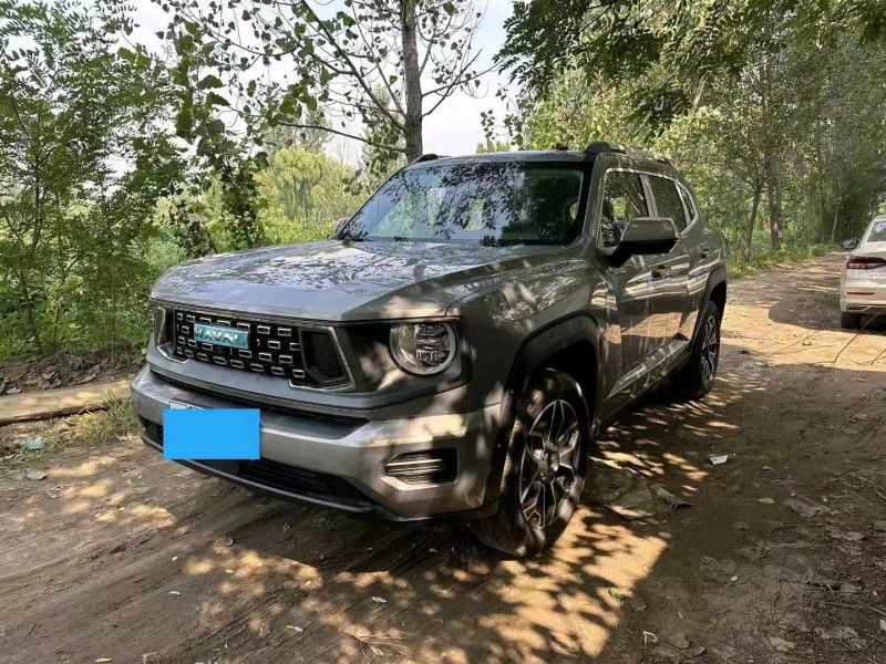 枣庄23年哈弗大狗2