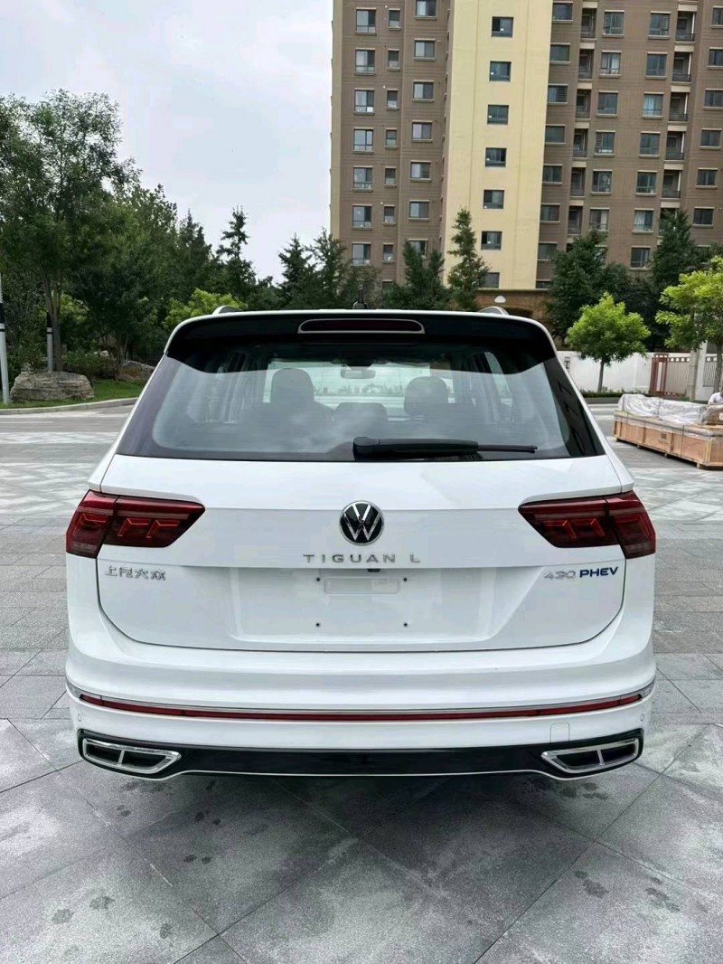 廊坊23年大众途观L9