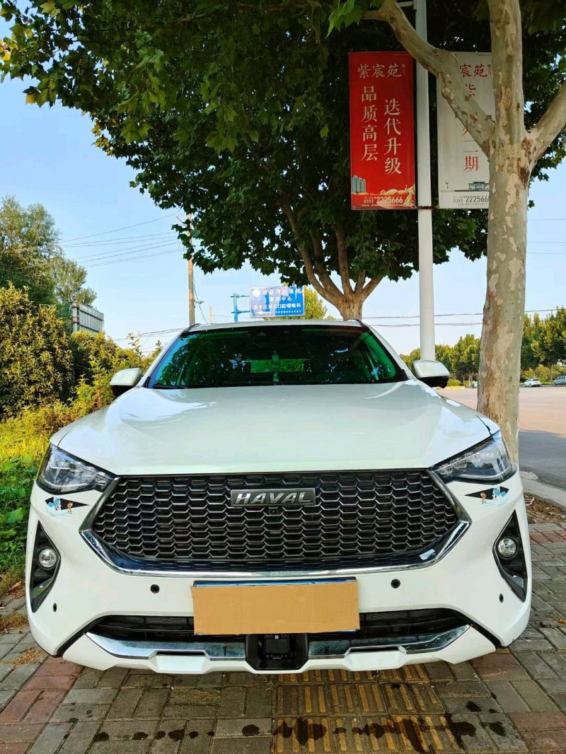 鶴壁20年哈弗F7x1