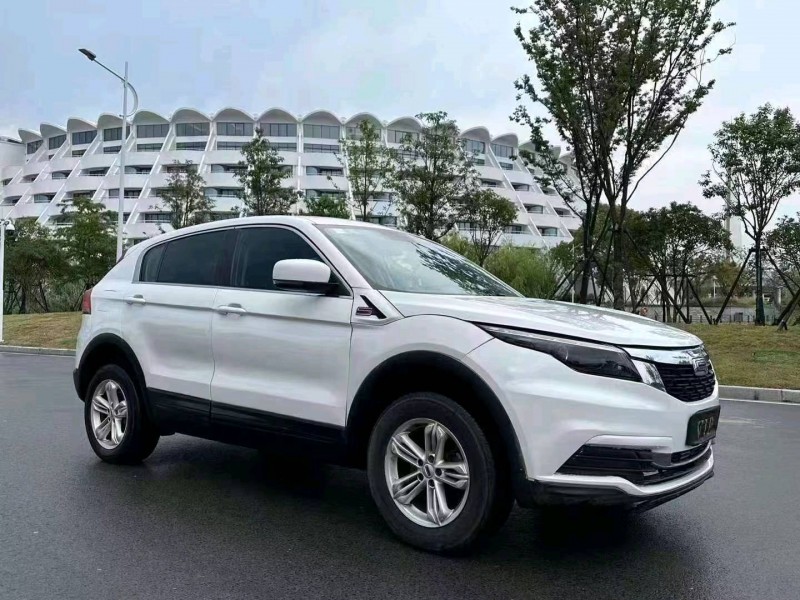 嘉兴19年观致52