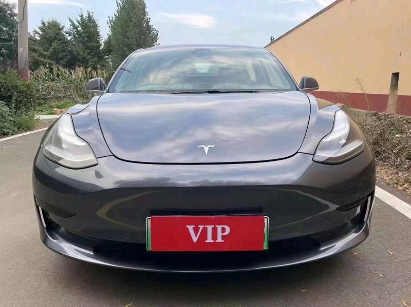 棗莊20年特斯拉MODEL 31