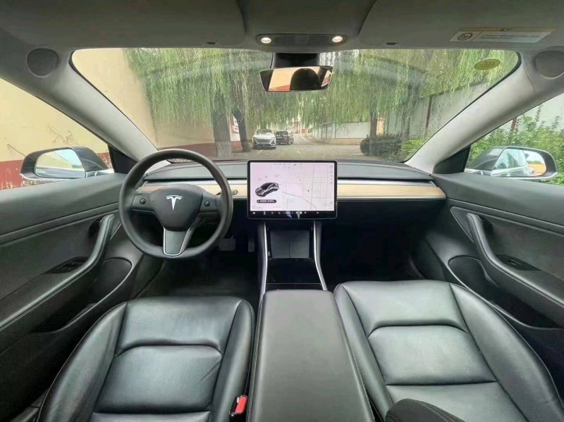 棗莊20年特斯拉MODEL 36