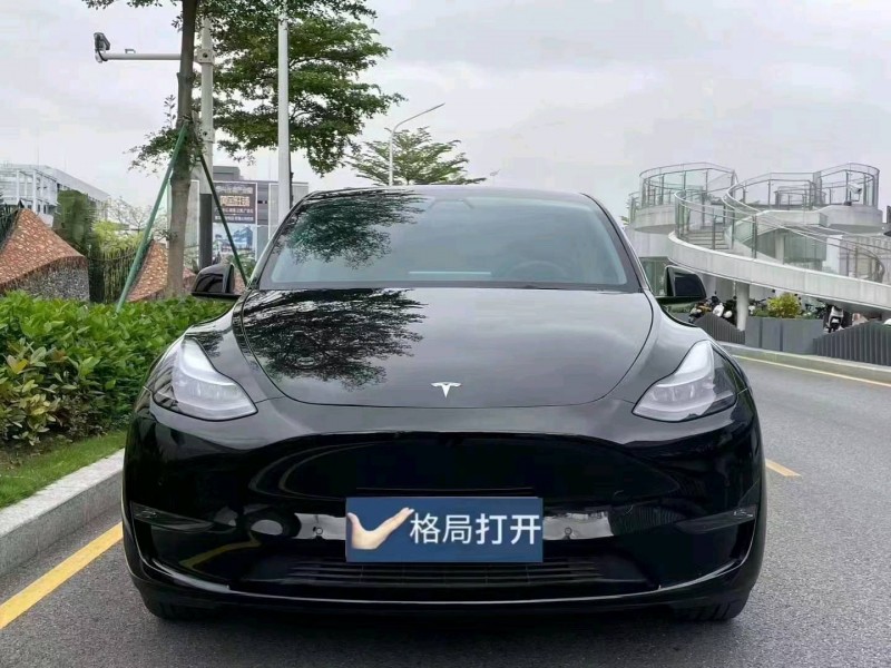 重慶21年特斯拉MODEL Y1
