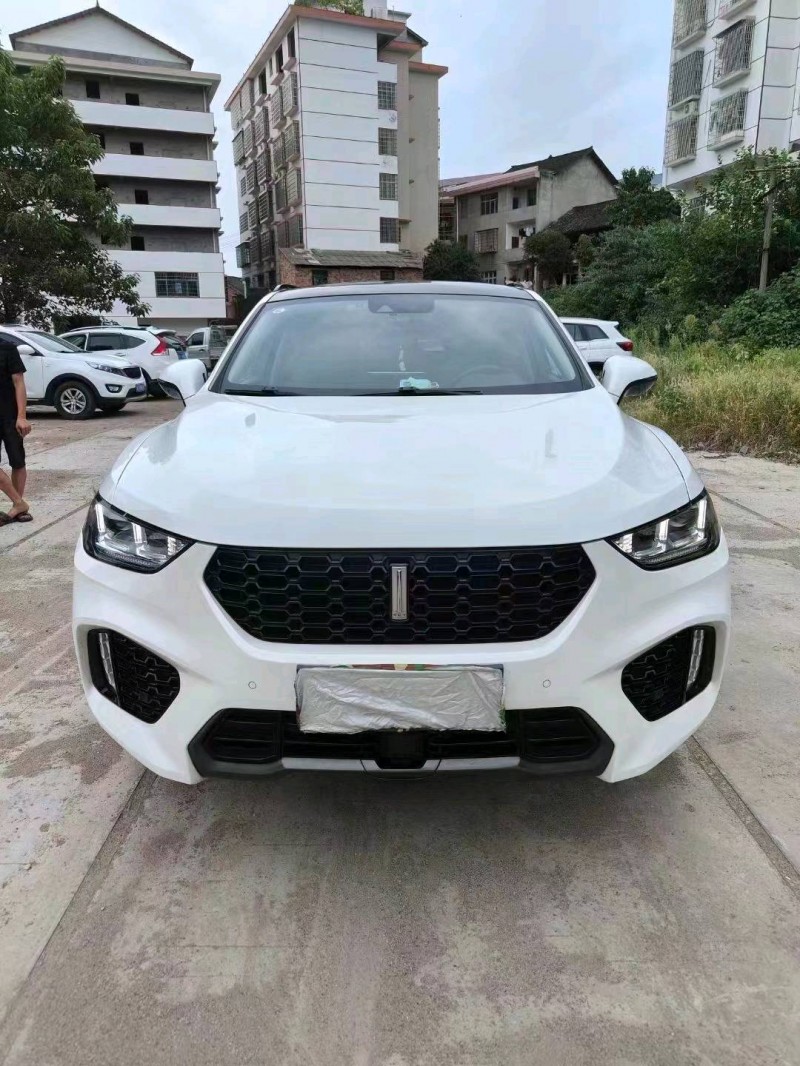 衡陽17年長城汽車WEY VV51