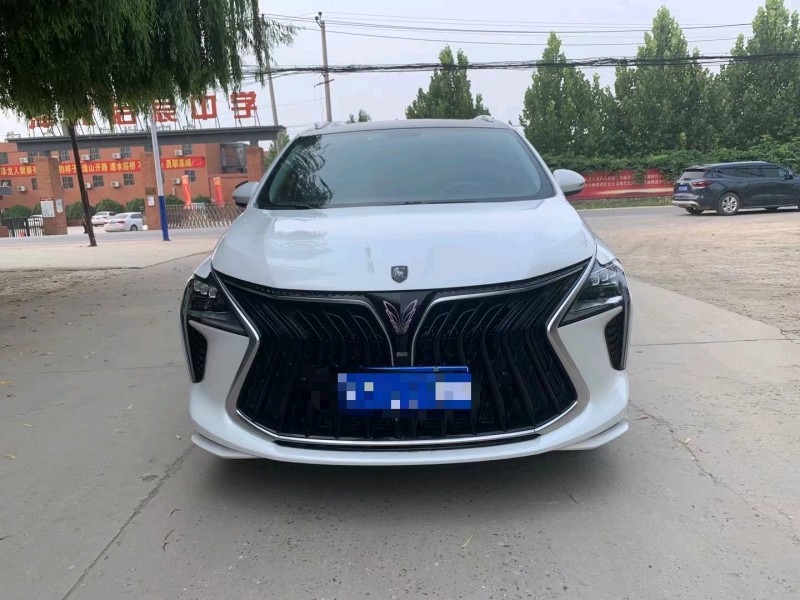 保定22年东风风行游艇1