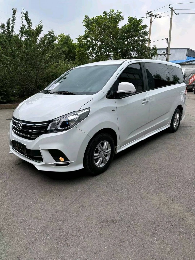 沈阳21年大通G102