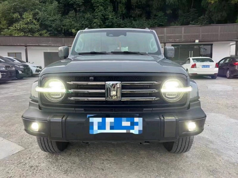 宜昌22年長城汽車坦克3001