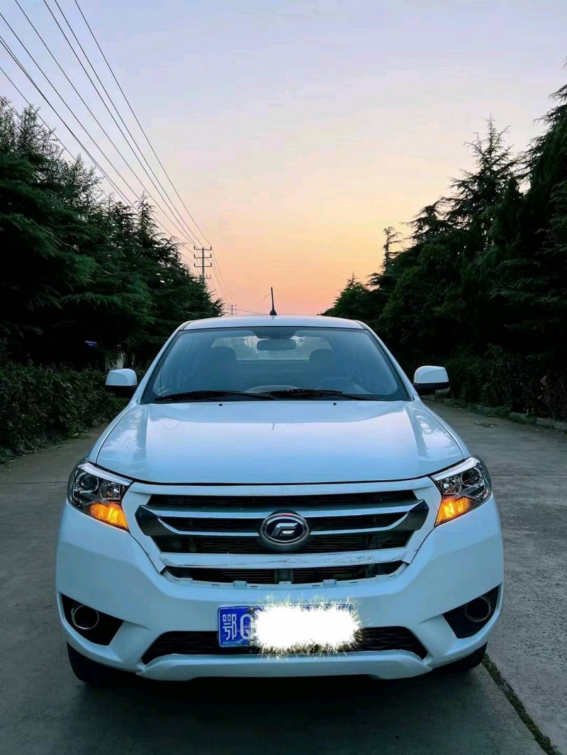 枣庄17年福迪雄狮1