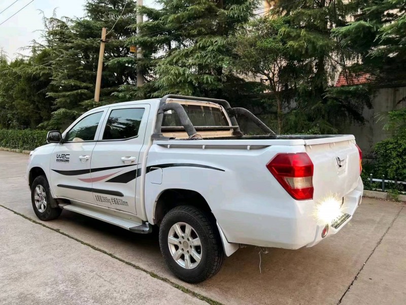 枣庄17年福迪雄狮5