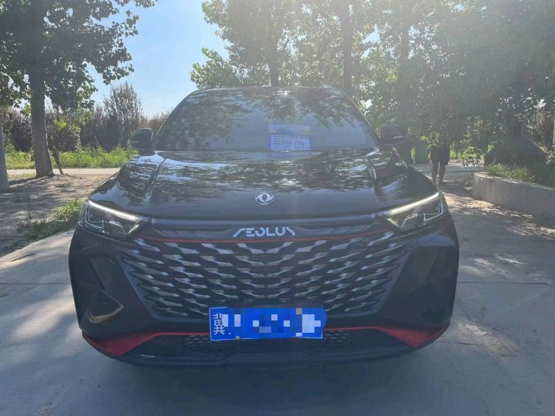 保定22年东风奕炫1