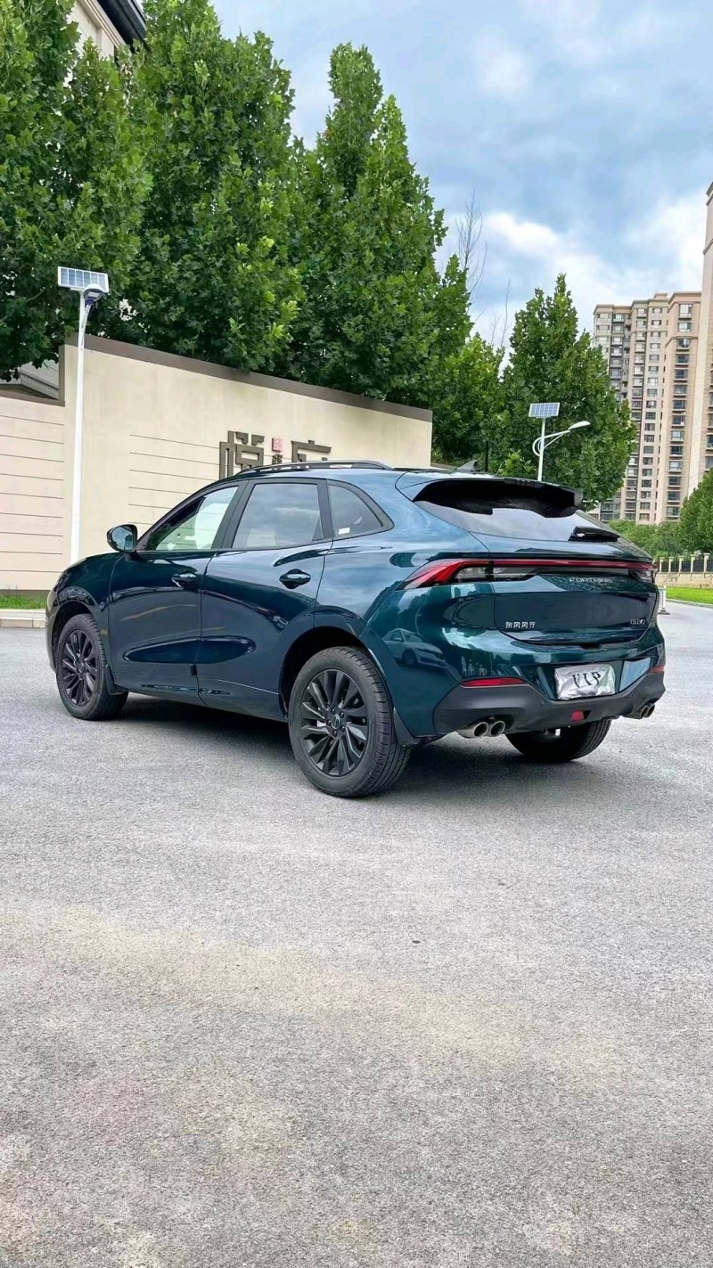 廊坊22年东风T58