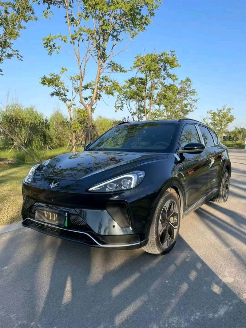 常州23年极狐汽车阿尔法3