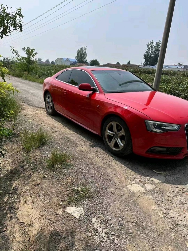 济南12年奥迪A51