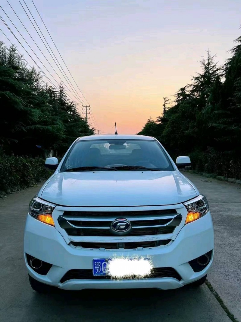 淄博17年福迪雄狮1