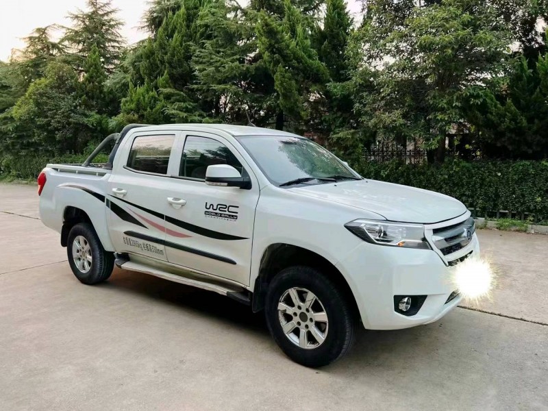 淄博17年福迪雄狮9