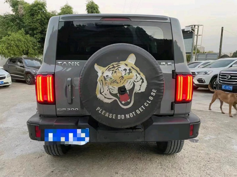 邯郸22年长城汽车坦克3005