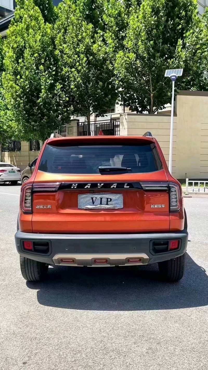 廊坊21年哈弗大狗9