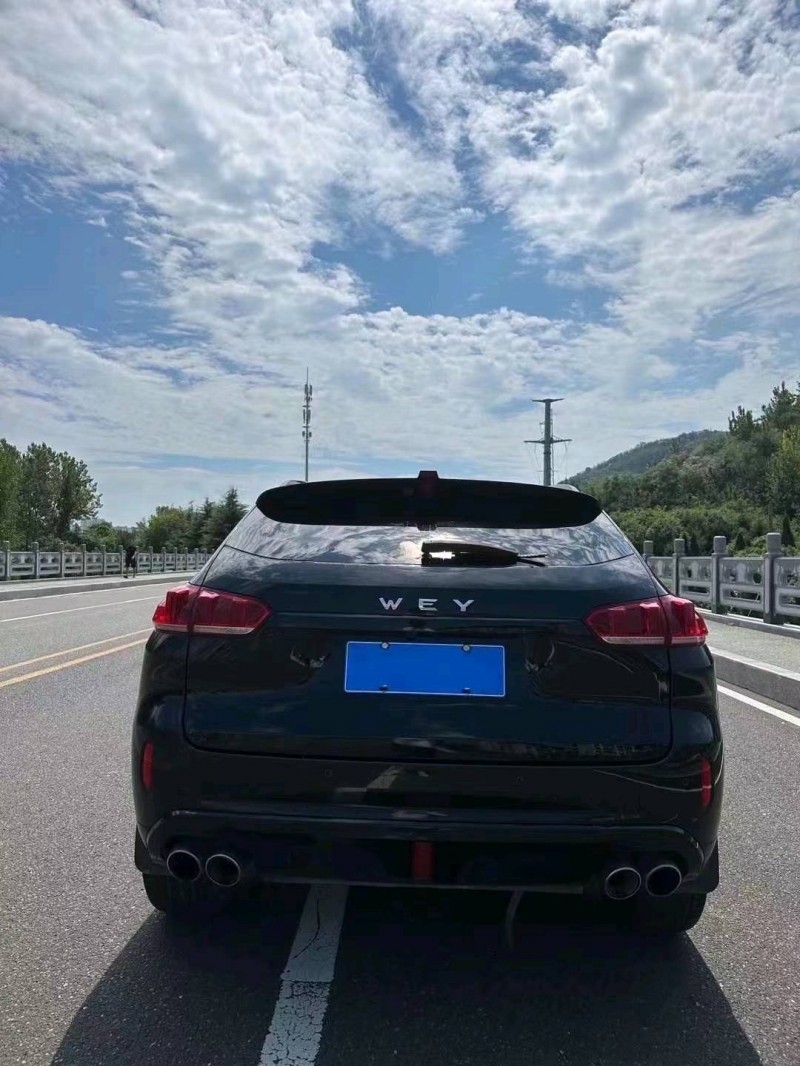 枣庄17年长城汽车WEY VV55