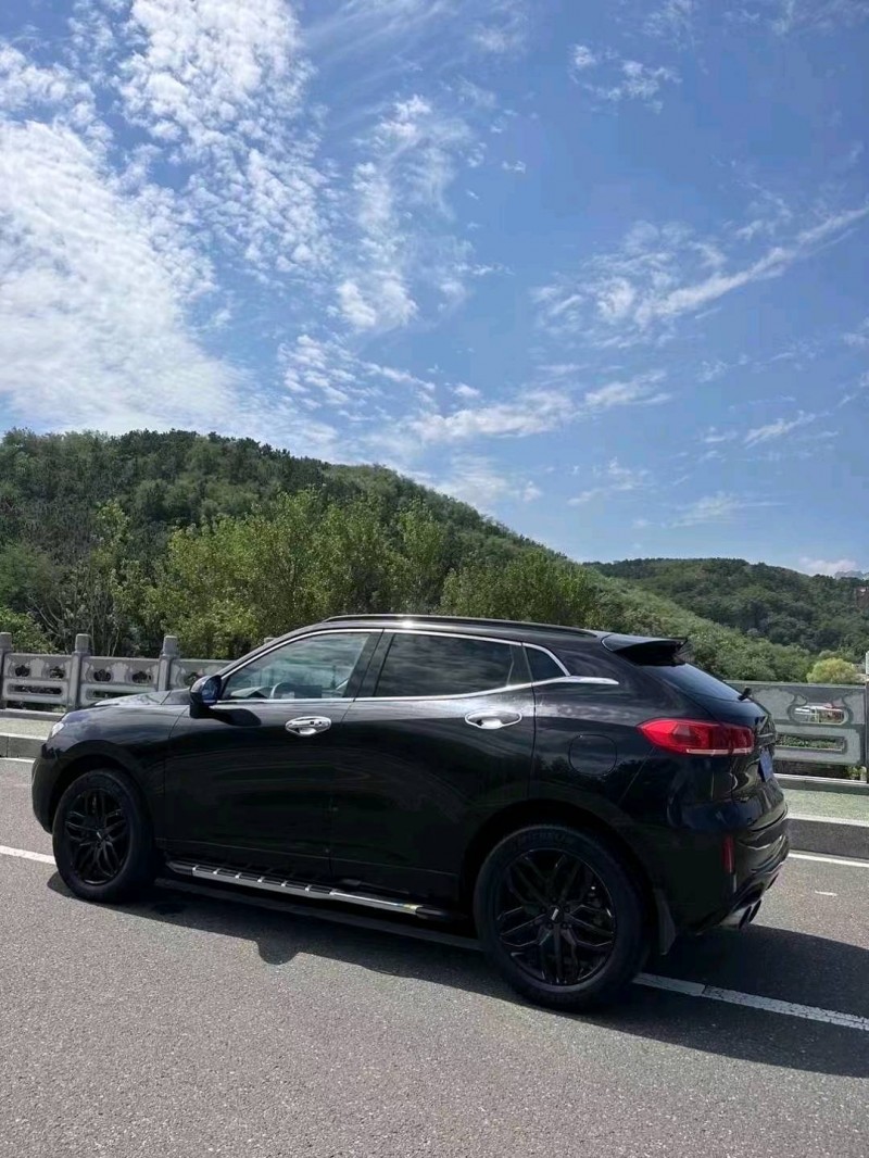 枣庄17年长城汽车WEY VV56