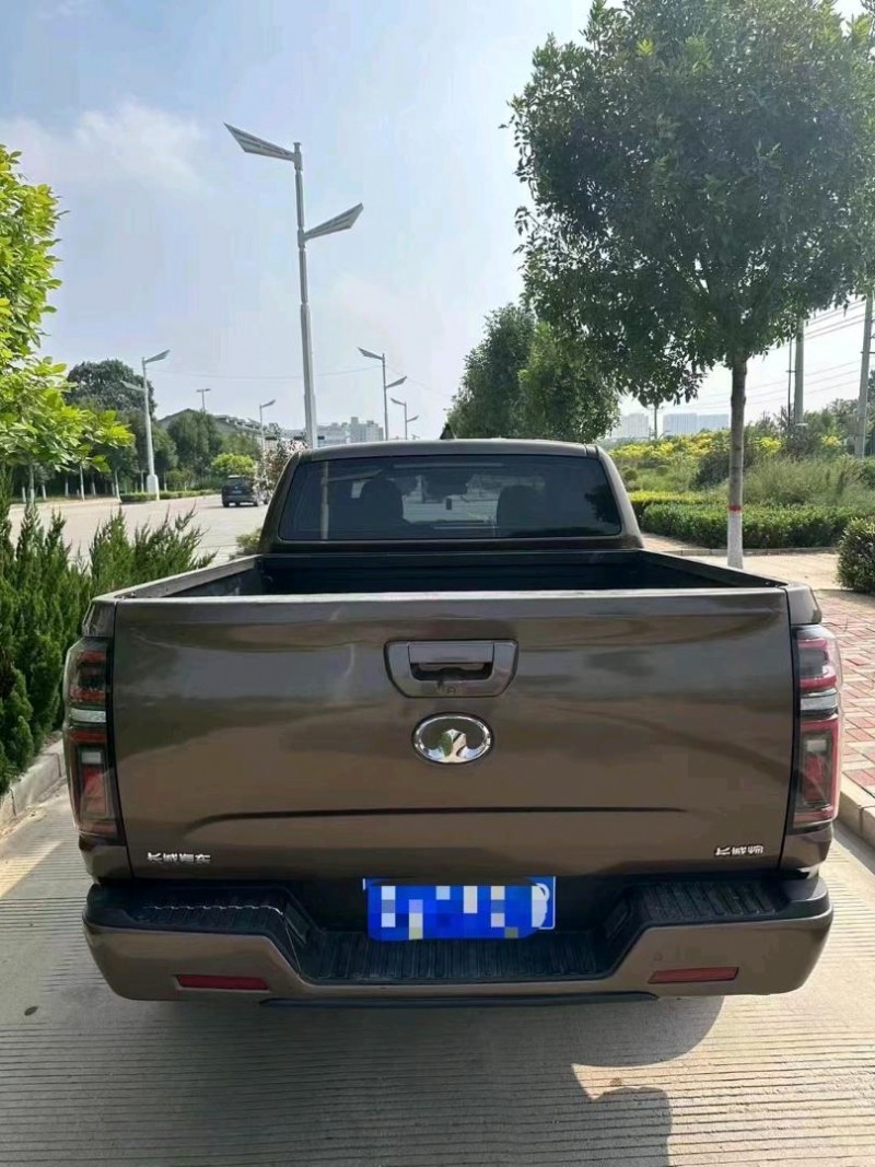 邯郸20年长城汽车炮 皮卡5