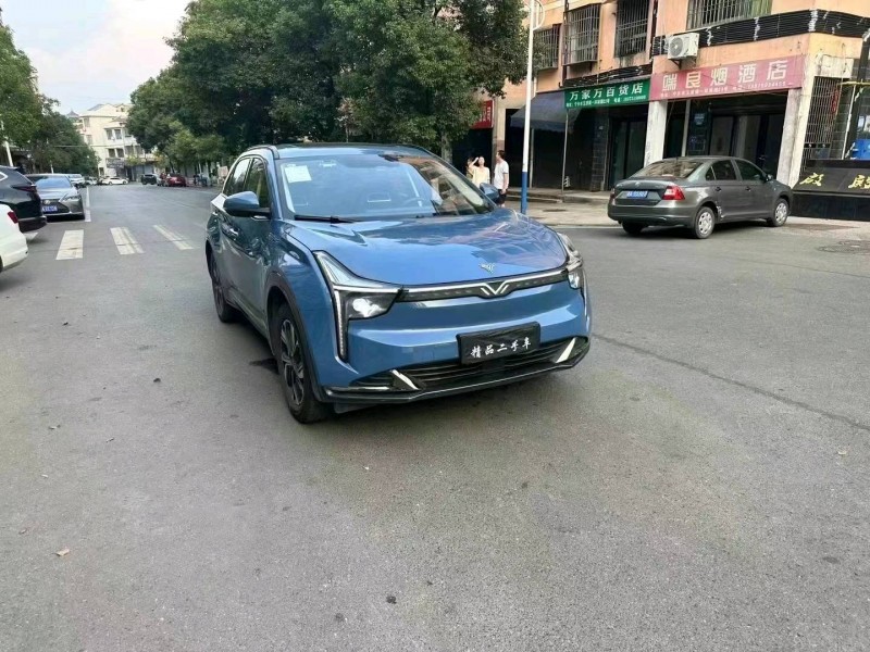 衡陽23年哪吒U6